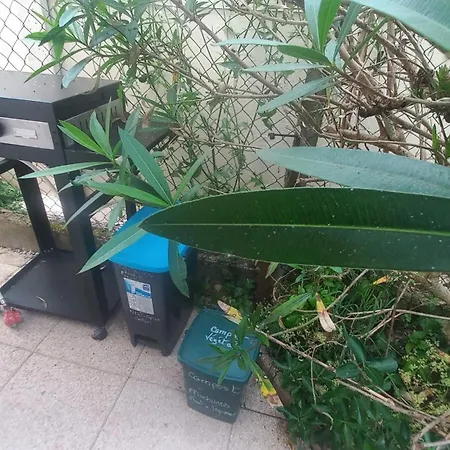 Studio Repos Nature Et Beauregard * Saint-Paul-lès-Dax