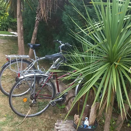 Nature Et Beauregard 30m2 En Duplex Proche Lac, Cures Thermales Et Commerces Lejlighed