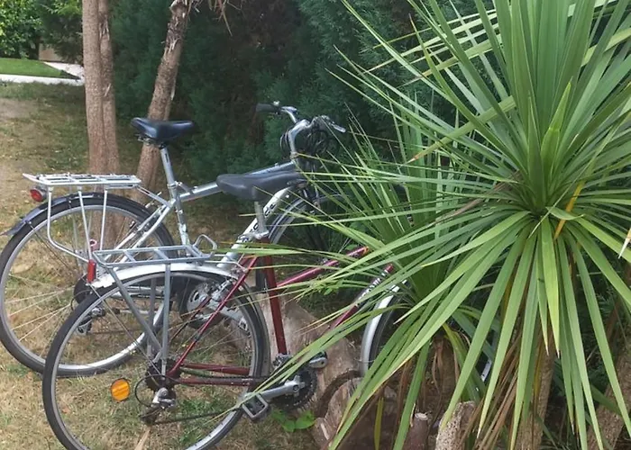 Nature Et Beauregard 30m2 En Duplex Proche Lac, Cures Thermales Et Commerces Apartman